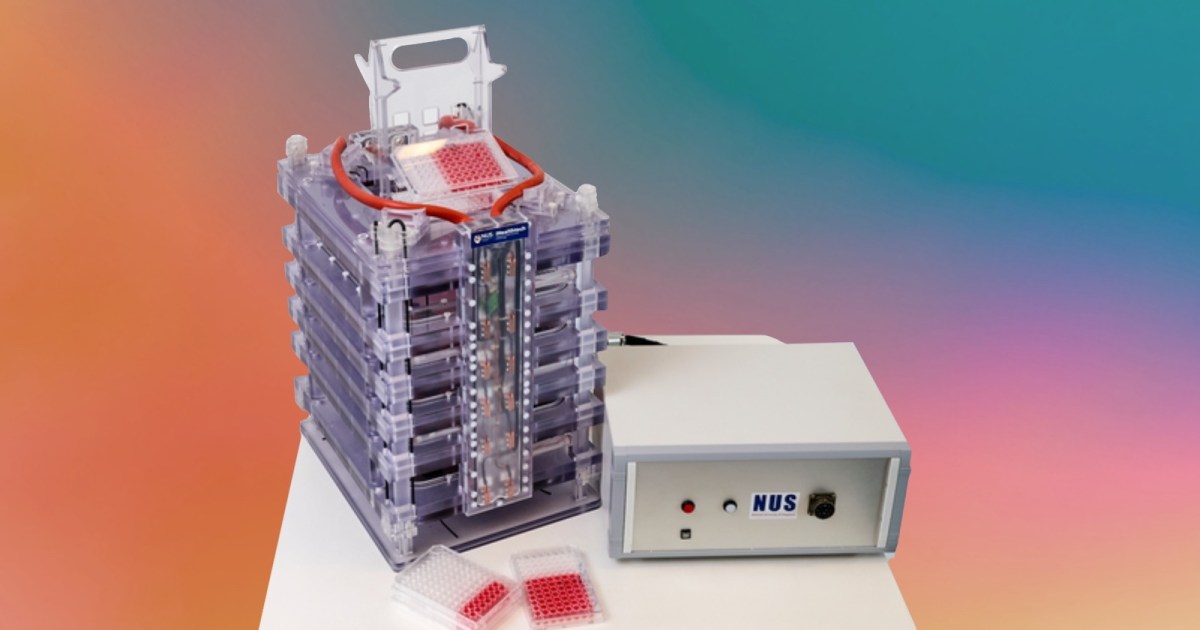 The key to cheaper labgrown meat?