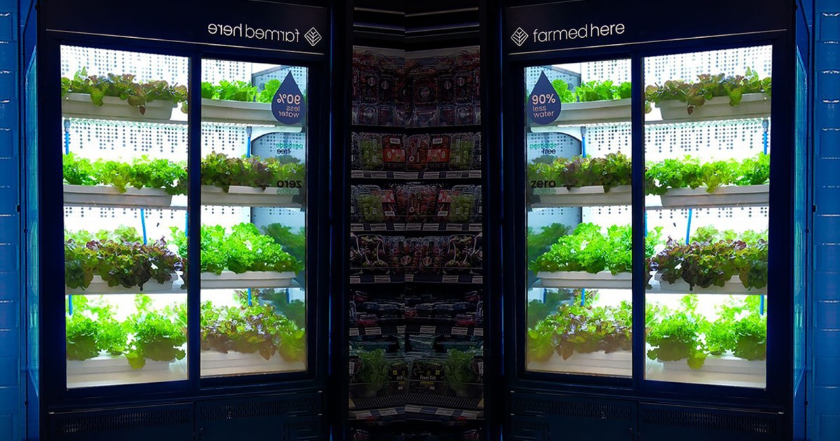 Supermarket uses hydroponic farm to grow veggies onsite