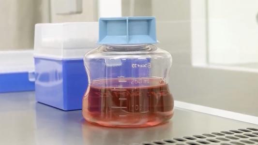 lab-grown blood cells