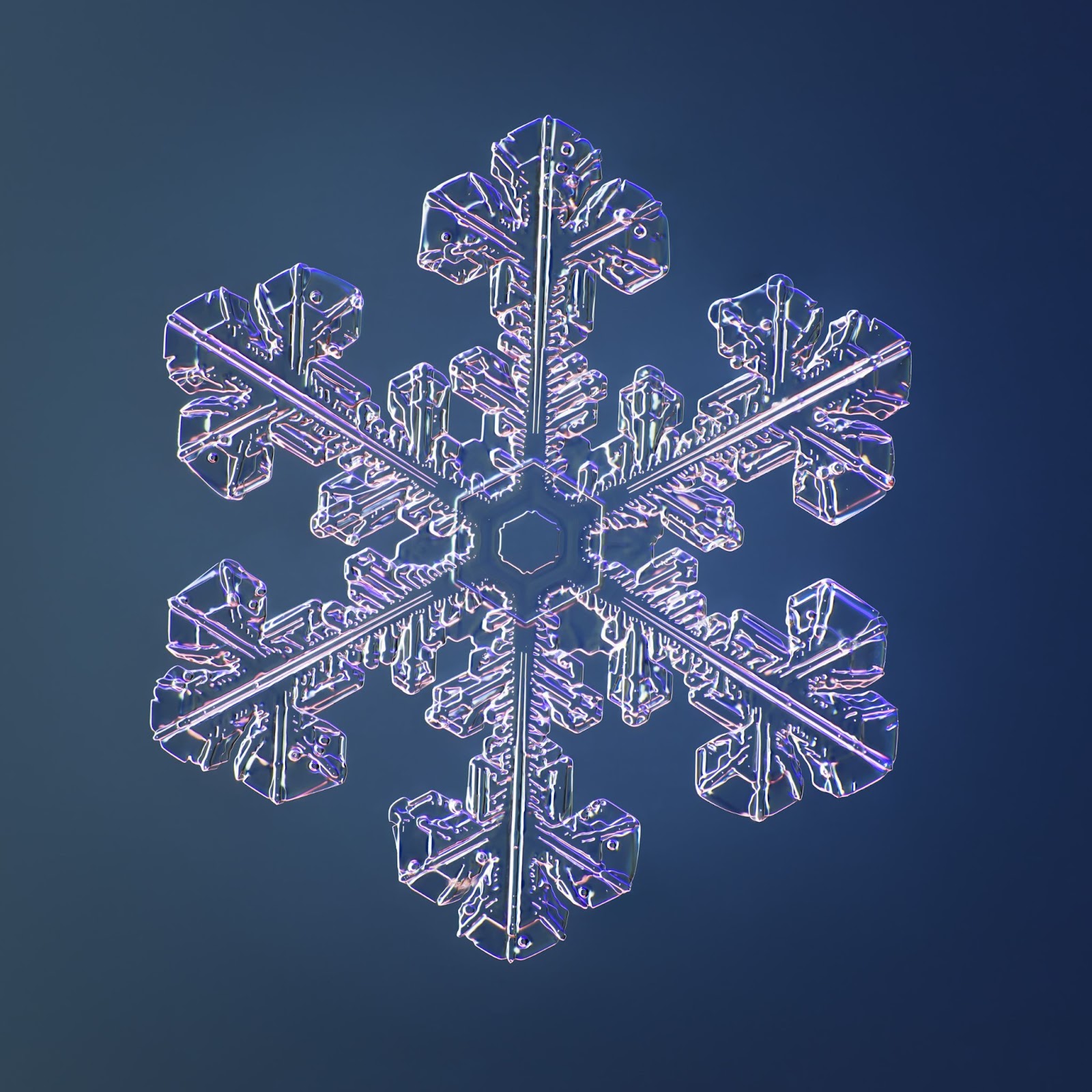 pictures of snowflakes
