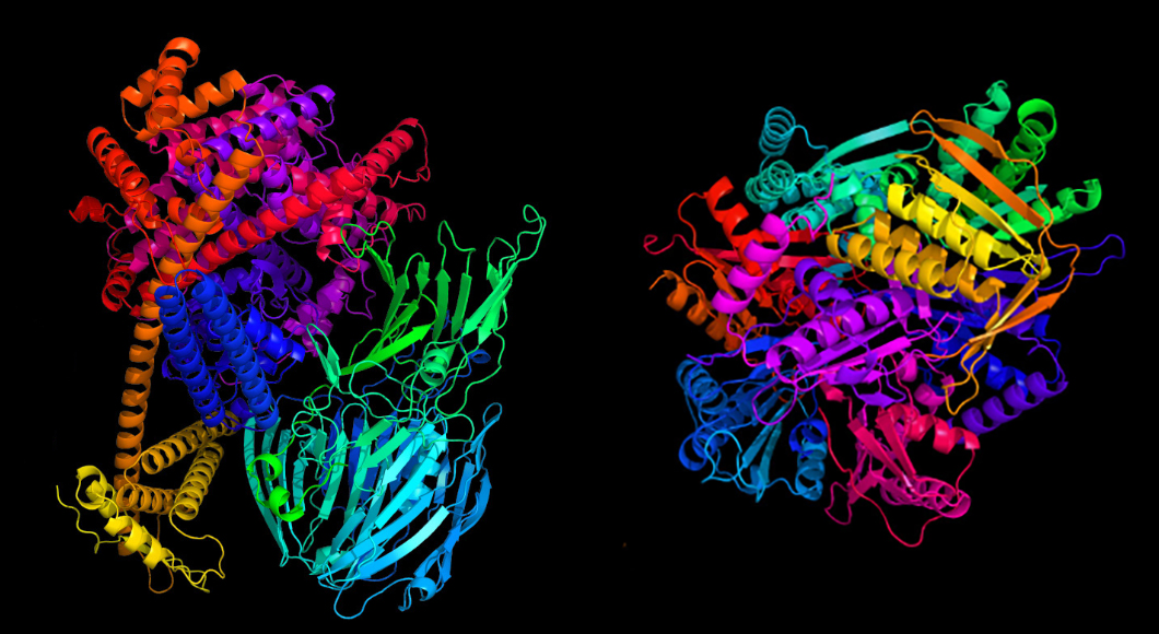 protein folding AI