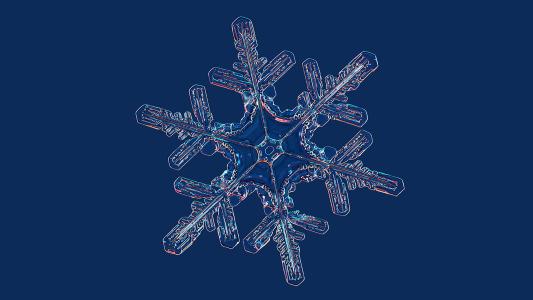 pictures of snowflakes