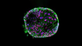 prevent COVID-19