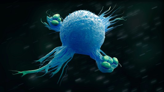 A 3D illustration of a macrophage engulfing bacteria