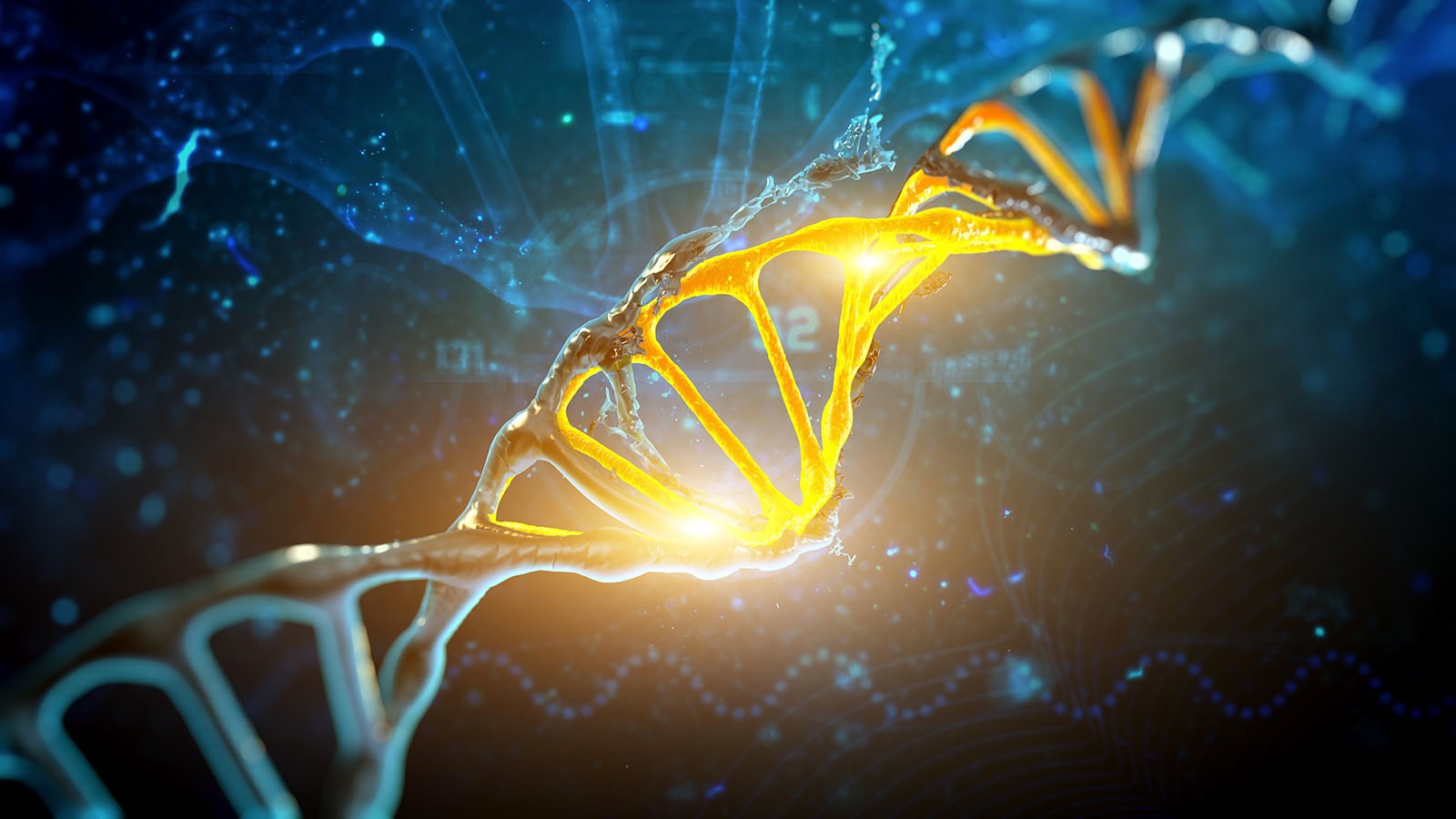 Study finds 155 tiny new genes evolving in humans
