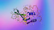 Bacteria-killing lysozyme protein