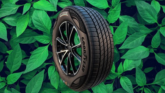 a tire in front of leaves