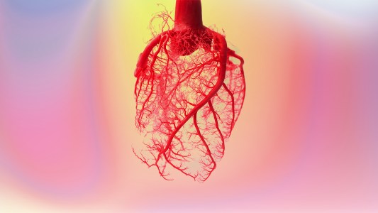 an illustration of a heart on a colorful background