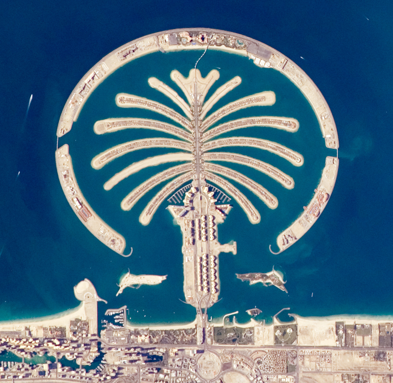 a large artificial island shaped like a palm tree off an urban coastline