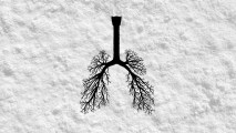 a black silhouette of lungs on a background of white powder