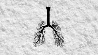 a black silhouette of lungs on a background of white powder