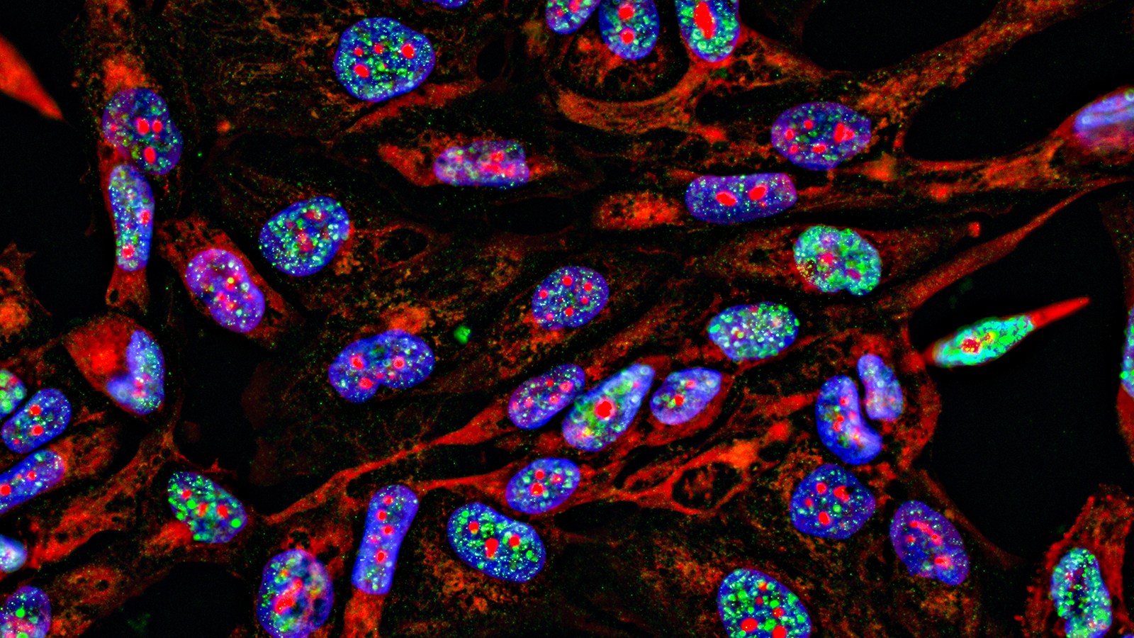 Light-activated cancer treatment therapy could be better and safer