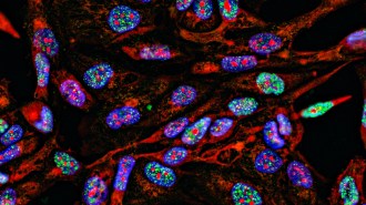 brightly colored cancer cells