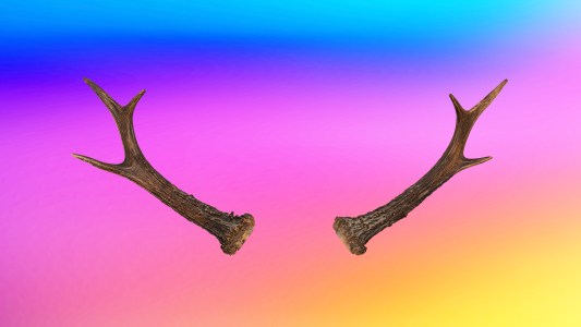 a pair of antlers on a colorful background