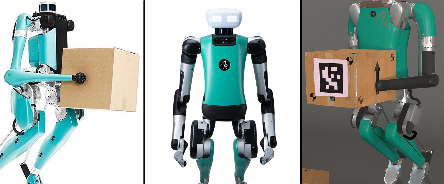 three versions of the humanoid robot Digit