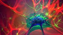a neuron with a psychedelic glow
