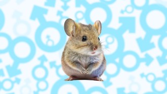 a cute mouse with a background pattern of the Mars symbol