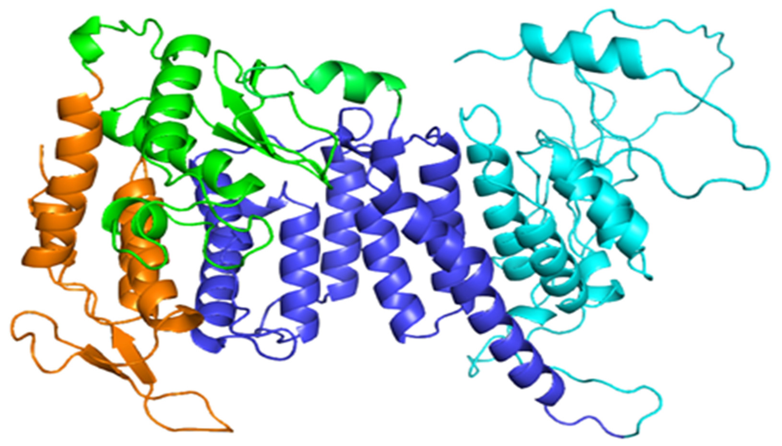 Menin Structure Animation Scientists may have discovered a