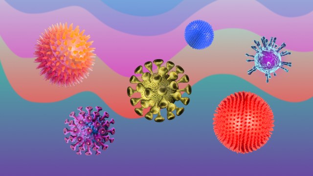 a collage of various viruses