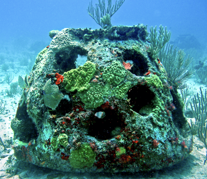 a cement structure covered in coral on the ocean floor