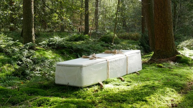 a white coffin in the middle of a lush forest