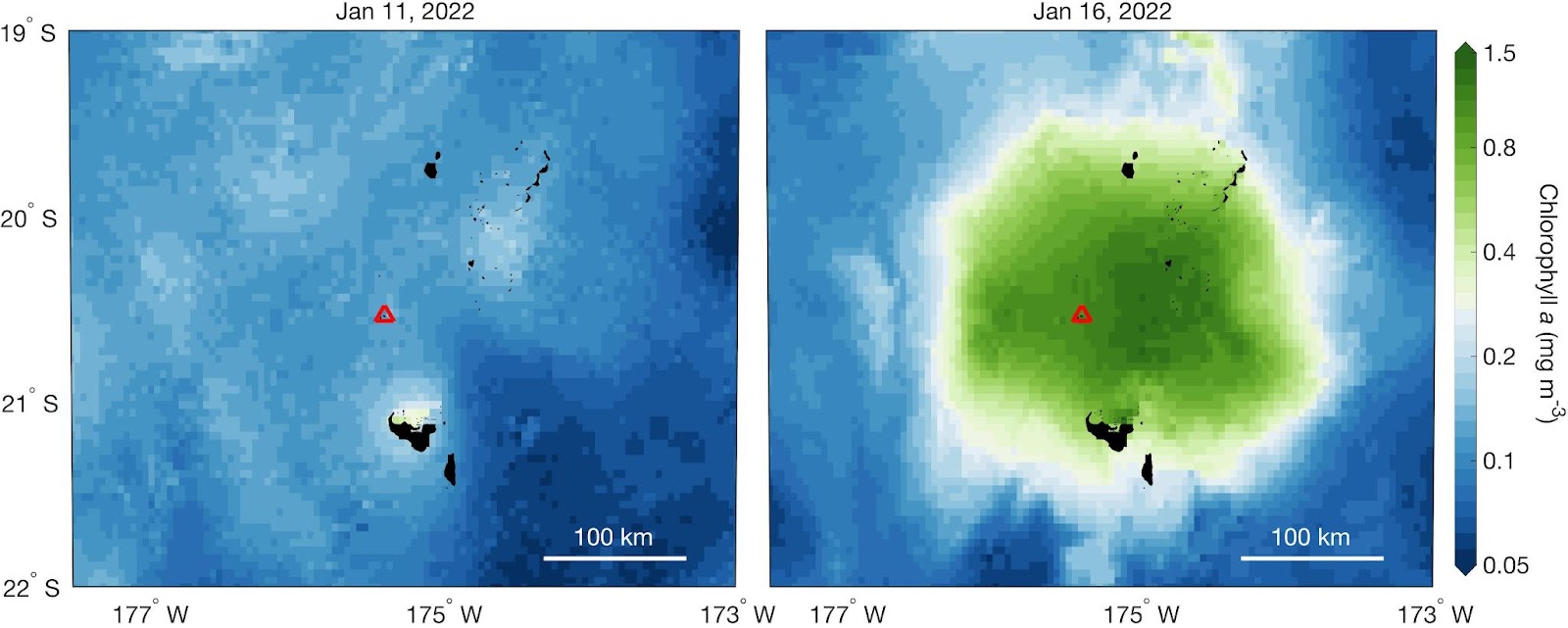 A map of the same area before and after the eruption. The after version depicts a huge green area signifying the increased presence of phytoplankton