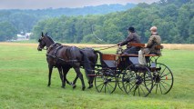 Amish farmers cross a field in a horse and buggy