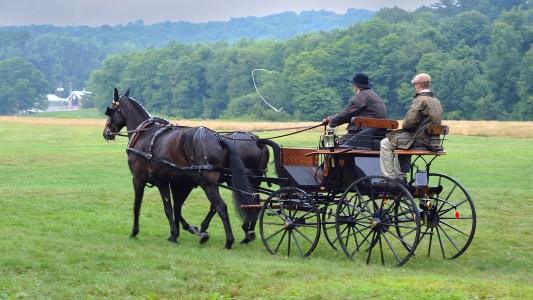 Amish farmers cross a field in a horse and buggy