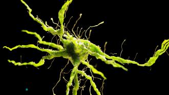 a rendering of a nerve cell in neon green