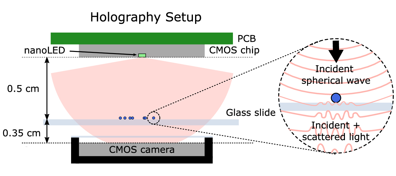 A diagram of the holographic microscope's components