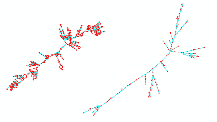 two mrna sequences