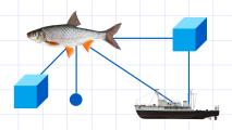 a fish and a boat are shown in a diagram.