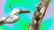 a robot arm and branch with lanternflies on it