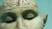 a close up of a statue of a person with a brain.