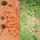 an overhead shot of land split in two. the left side is dry and dusty. the right side has vegetation