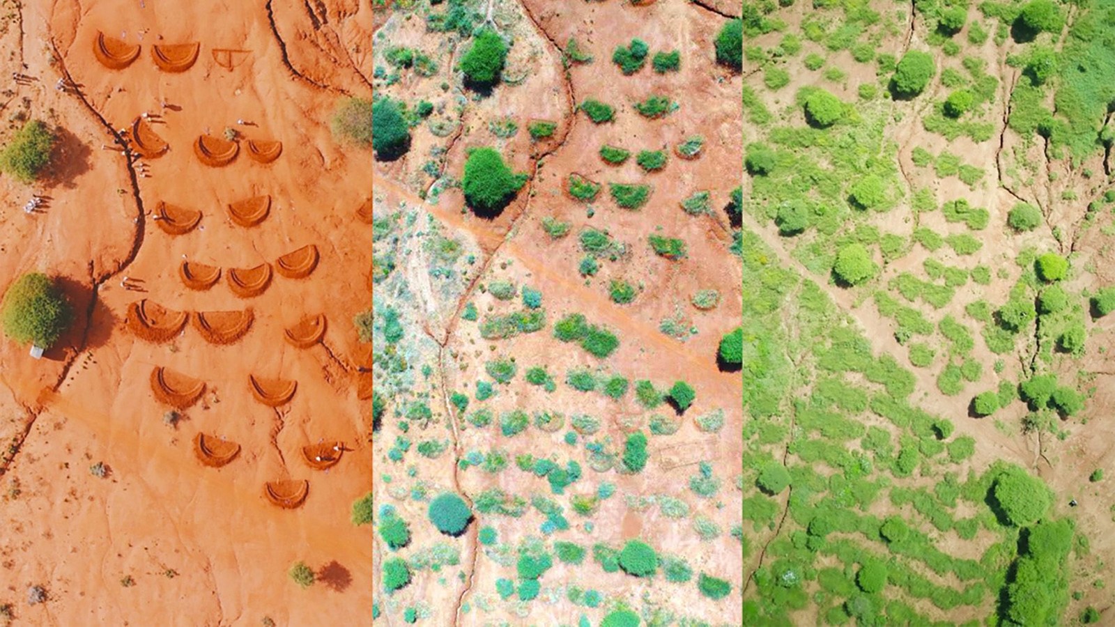 Desertification is destroying fertile land. Here's how we're fighting it.