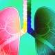 a colorful illustration of lungs