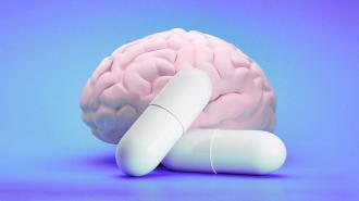 image of a brain with pills in the front