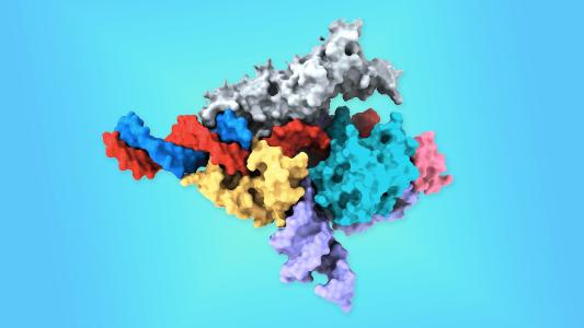 a 3D-model of a Fanzor protein based gene-editing system