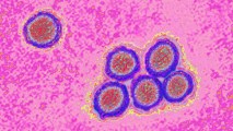 An image of a virus on a pink background, incorporating elements related to meningitis vaccine and the meningitis belt.