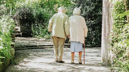 An aging couple strolling along a path.