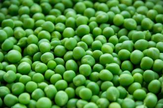 a lot of green peas