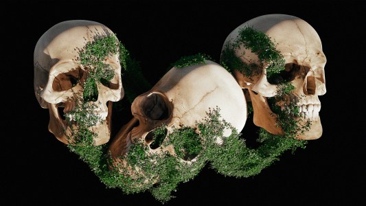 Three moss-covered skulls evoke a strong fear of death against a somber black backdrop.
