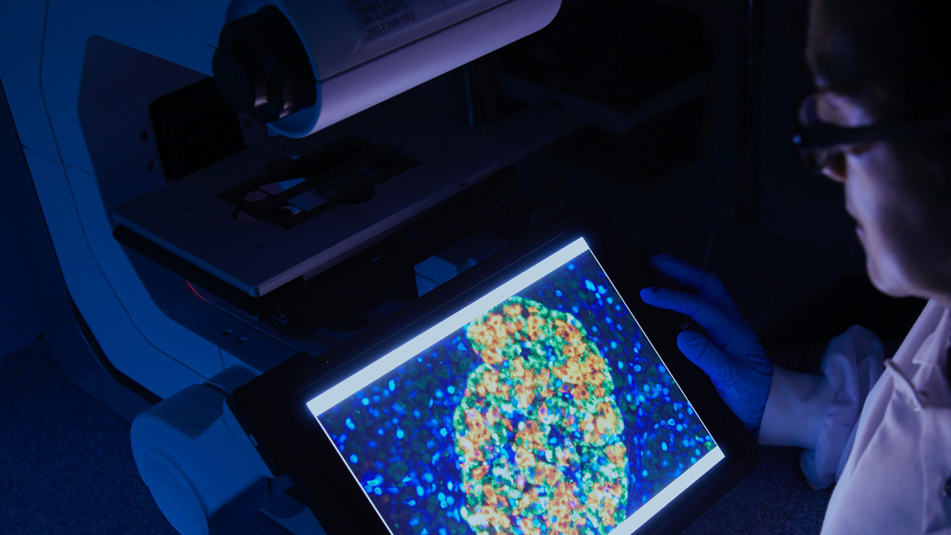 Startup aims to transplant pig hearts into kids in 2024