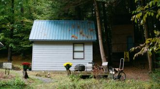 a small cabin in the woods with a blue roof.