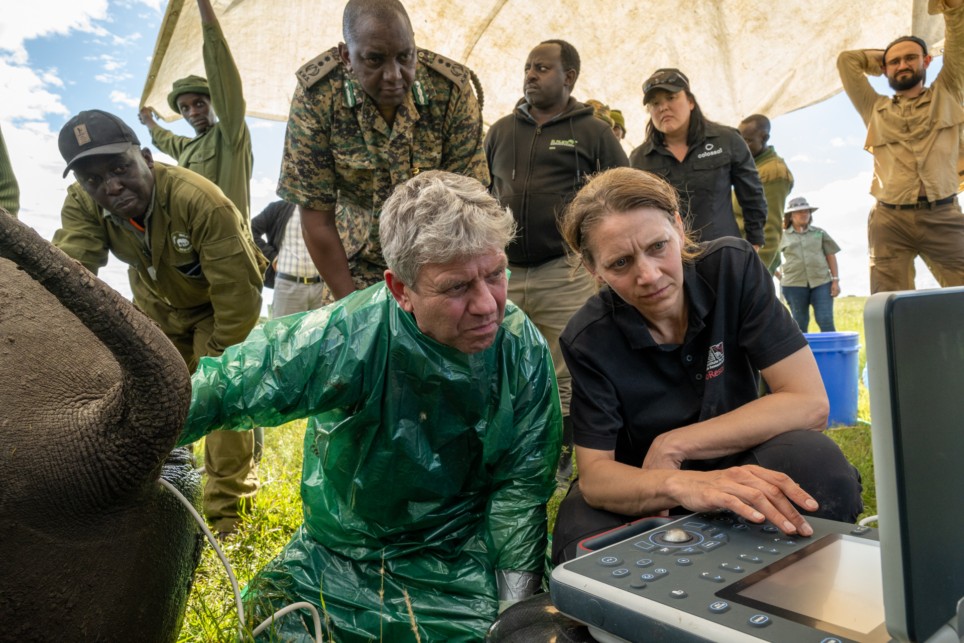 A group of people looking at a computer with an rhino in the background.