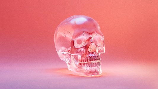 A glass skull on a pink background.