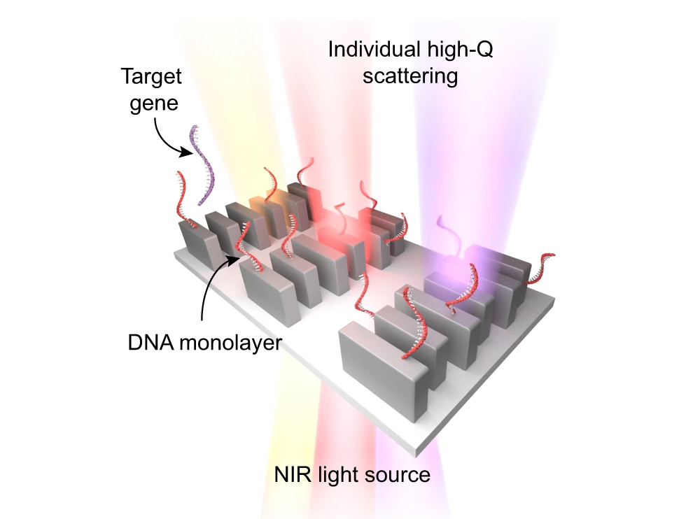 A diagram of the biochip