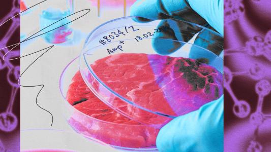 A person is holding a bowl of lab-grown meat in front of a purple background.