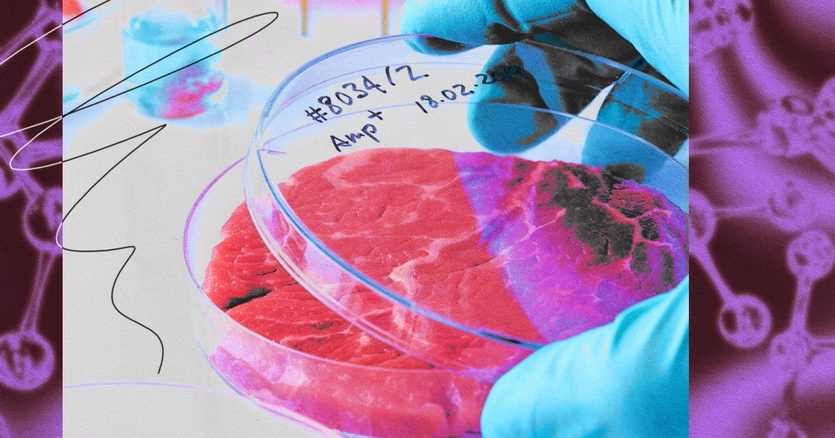 Lab-grown meat techniques aren’t new